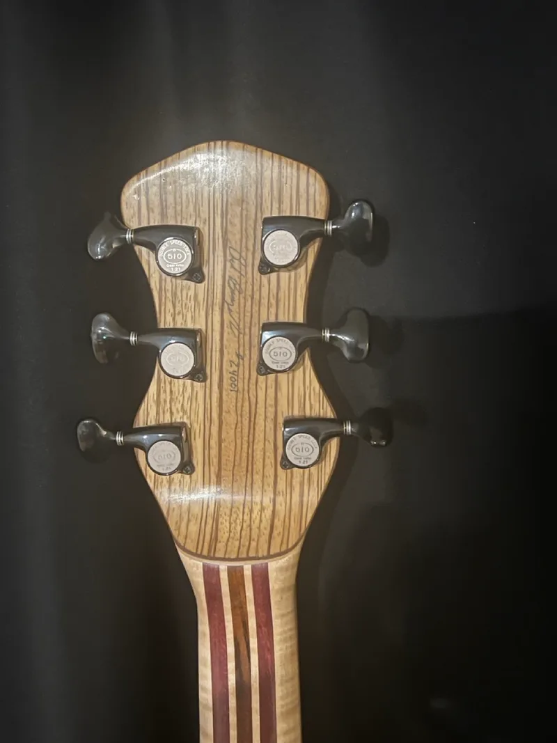 The Tiburon, a handmade RJB neck-through guitar — photo 11 of 14