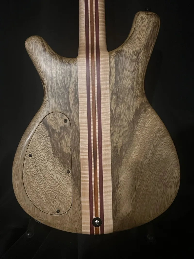 The Tiburon, a handmade RJB neck-through guitar — photo 10 of 14