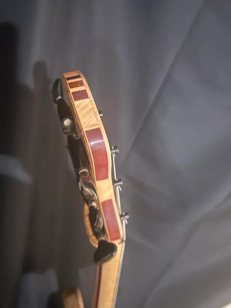 The Tiburon, a handmade RJB neck-through guitar — photo 8 of 14