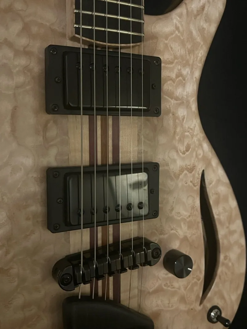 The Tiburon, a handmade RJB neck-through guitar — photo 14 of 14