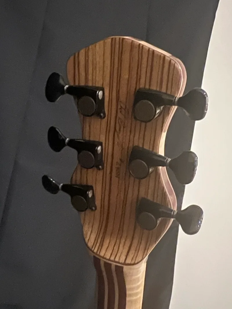 The Tiburon, a handmade RJB neck-through guitar — photo 9 of 14