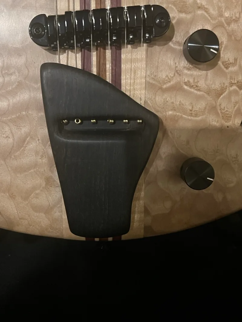 The Tiburon, a handmade RJB neck-through guitar — photo 13 of 14