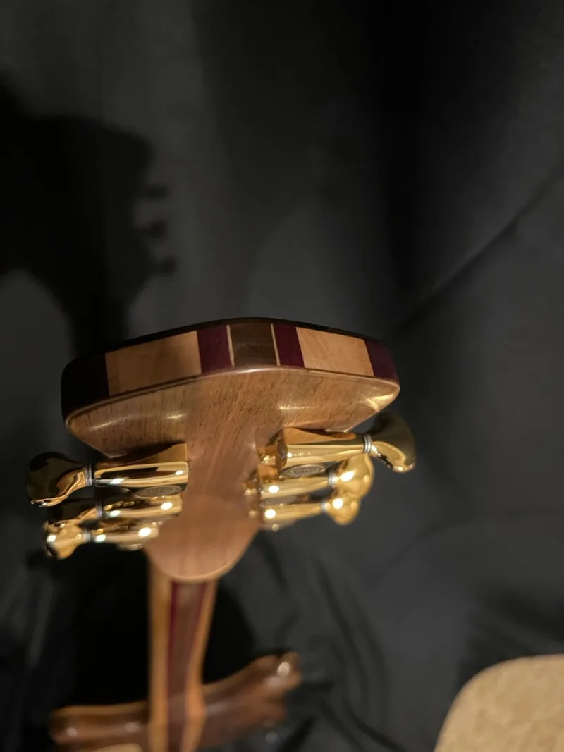 The Tiburon - Zircote Top, a handmade RJB neck-through guitar — photo 11 of 19