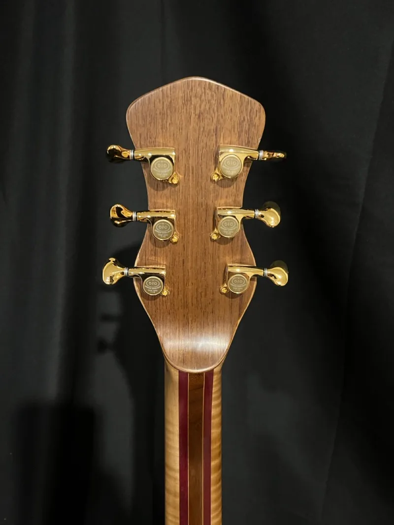 The Tiburon - Zircote Top, a handmade RJB neck-through guitar — photo 9 of 19