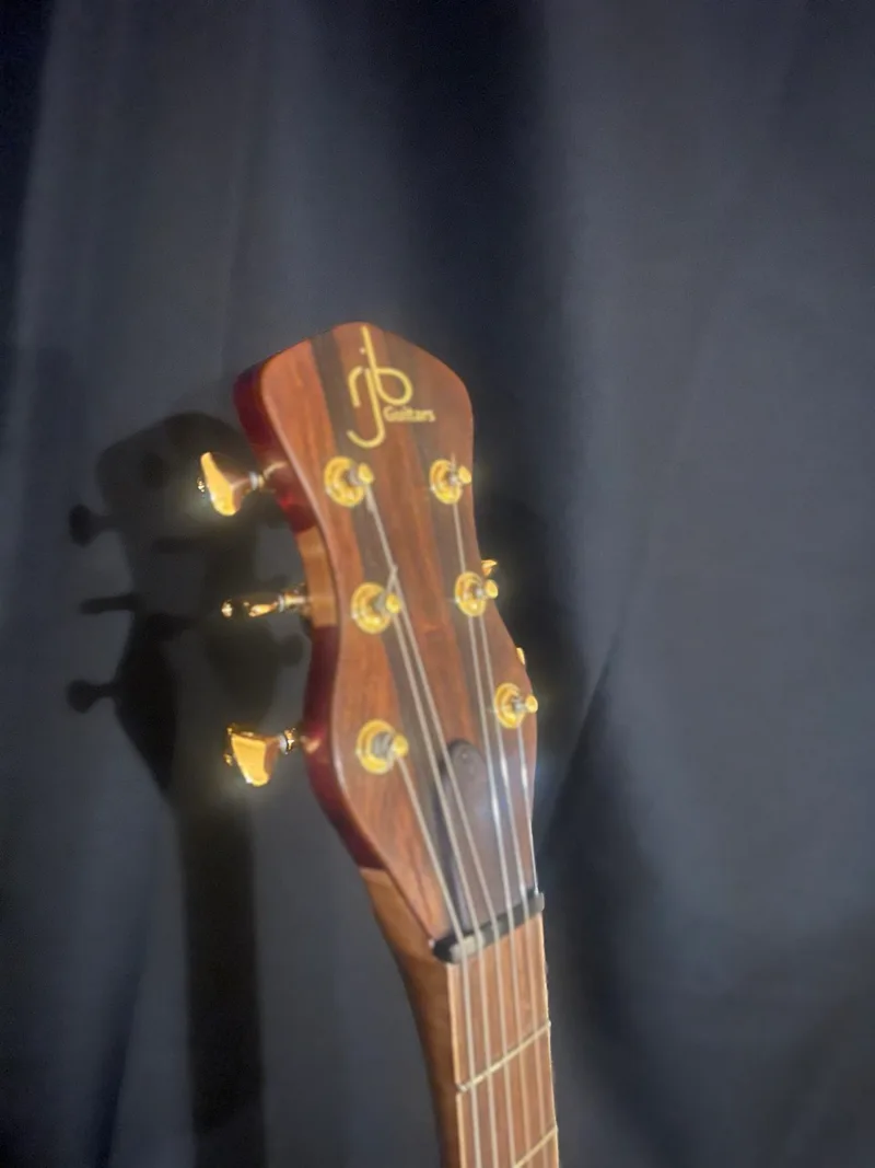 The Tiburon - Zircote Top, a handmade RJB neck-through guitar — photo 6 of 19