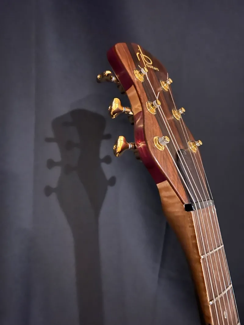 The Tiburon - Zircote Top, a handmade RJB neck-through guitar — photo 17 of 19