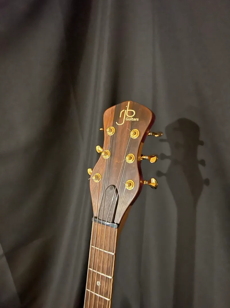 The Tiburon - Zircote Top, a handmade RJB neck-through guitar — photo 16 of 19